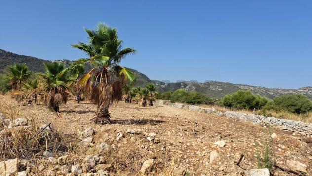 Terreno in vendita a Priolo Gargallo - Foto 12