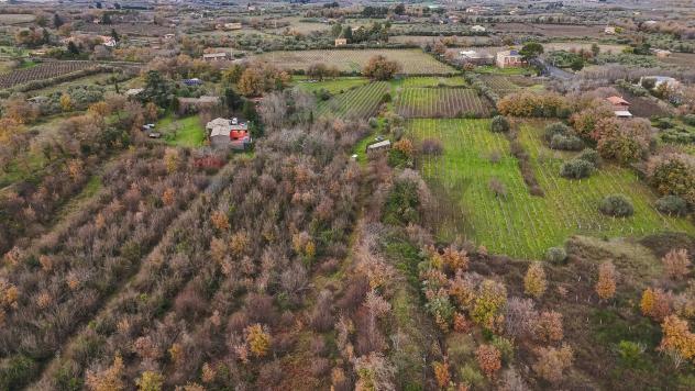 Terreno Edificabile in vendita a Randazzo, Montelaguardia - Foto 8