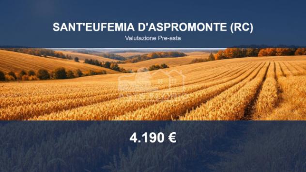 Immobile in asta di 12360 m² in vendita a Sant'Eufemia d'Aspromonte