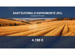 Immobile in asta di 12360 m² in vendita a Sant'Eufemia d'Aspromonte