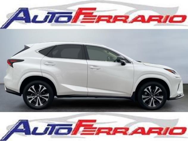 LEXUS NX 1ª serie NX Hybrid Business - Foto 5