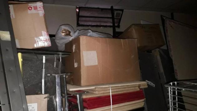 Immobile in asta di 35 m² in vendita a Moncalieri - Foto 17