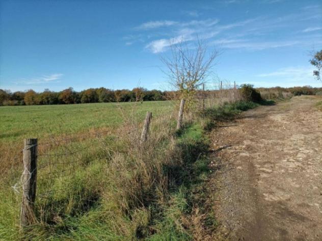 Immobile in asta di 18460 m² in vendita a Canino - Foto 4