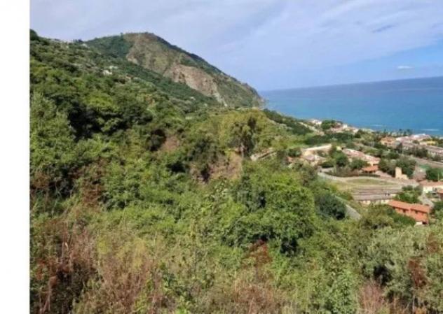 Immobile in asta di 5431 m² in vendita a Piraino - Foto 7