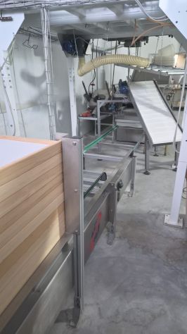 Macchinari Pastificio Linea di Pasta - Foto 10