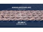 Immobile in asta di 98 m², box auto in vendita a Borgolavezzaro