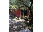 Annesso agricolo in vendita a Montebello - Camaiore 2800 mq  Rif: 1326911