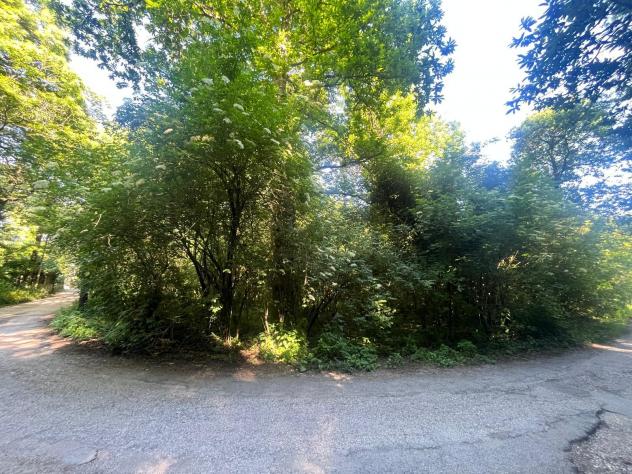 Agricolo in Via delle Crocette - Foto 4