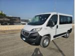 FIAT Ducato 30 2.3 MJT 150cv PC-TN 9 POSTI PANORAMA rif. 24088426