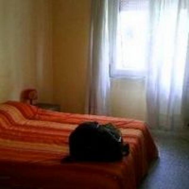 Gesicar S.r.l. - Foto 4