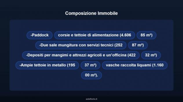 Immobile in asta di 4606 m² in vendita a Altavilla Silentina - Foto 6