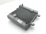 HONDA PANTHEON 150 RADIATORE ACQUA LIQUIDO RAFFREDDAMENTO MOTORE E TAPPO 2003