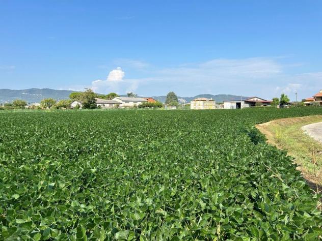 Seminativo in vendita a Castegnero - Foto 4
