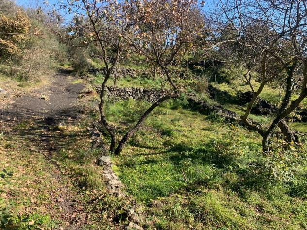 Terreno Edificabile in vendita a Mascalucia - Foto 13