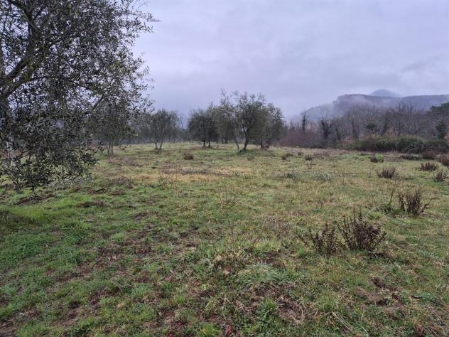 RUSTICO CASALE INDIPENDENTE CO 7 ETTARI DI TERRENO ADIACENTI FRA VICCHIO E BORGO SAN LORENZO (FIRENZE - Foto 17