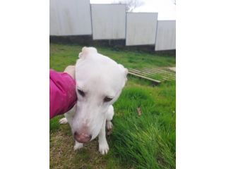 Casper
