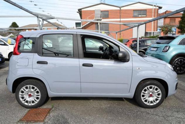 FIAT Panda 1.0 Firefly S&S Hybrid Easy rif. 22268876 - Foto 4
