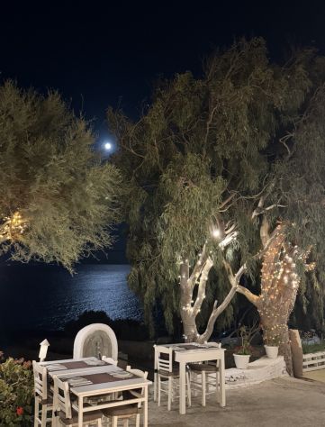 Lavapiatti con esperienza a Paros ( Grecia) - Foto 2