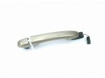 MANIGLIA ESTERNA POSTERIORE DESTRA RENAULT Espace 5° Serie 806064489R (14)