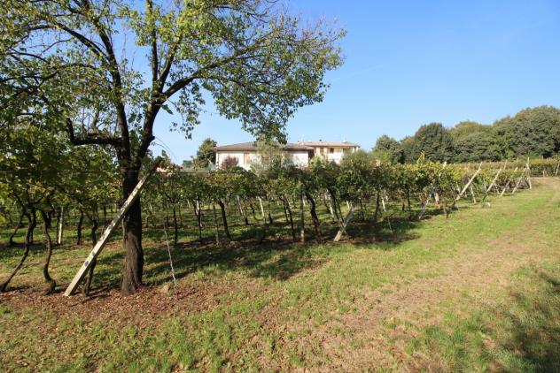 Terreno edificabile in vendita a Gambellara - Foto 6