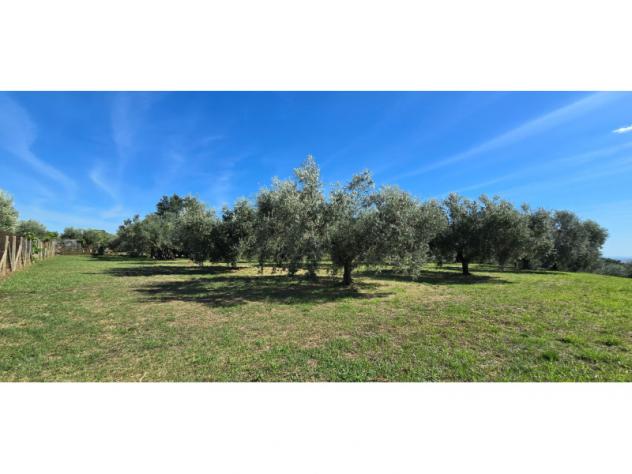 Agricolo in Viale del Lavoro - Foto 6