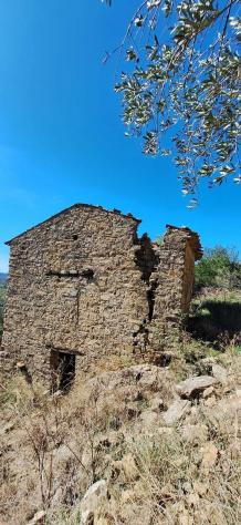 Agricolo in Via Nazionale - Foto 6