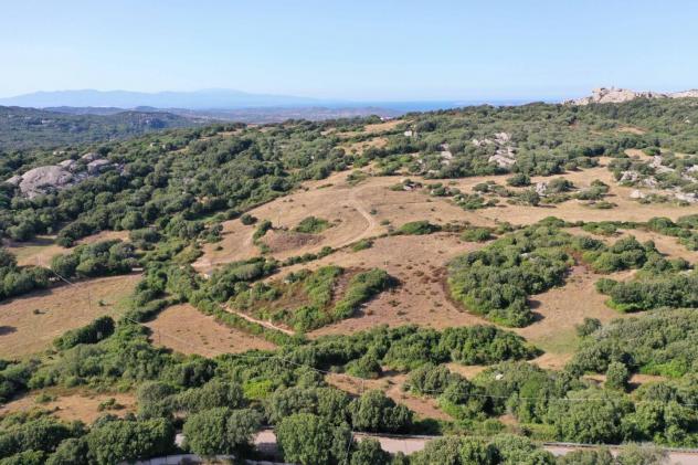 Terreno agricolo in vendita a Luogosanto 45000 mq Rif: 1356628 - Foto 2