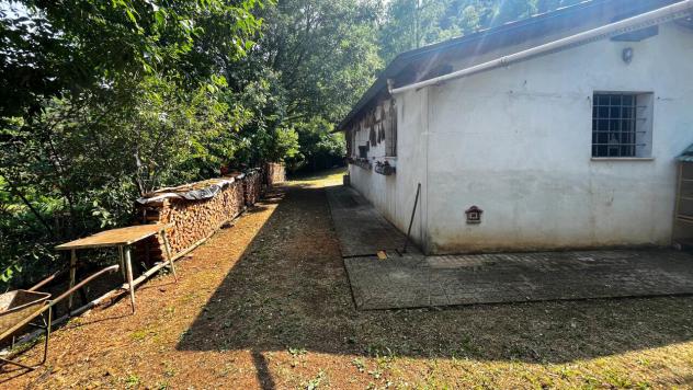 Area verde in vendita a Monteviale - Foto 2