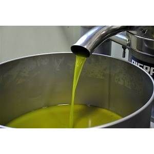 Olio extravergine di oliva di Carmignano dell annata 2024 - Foto 5