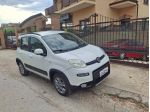 Fiat Panda 1.3 MJT S&S 4x4