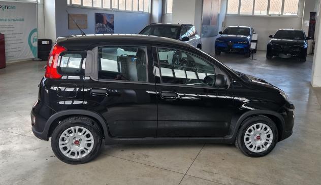 FIAT Panda Panda 1.0 firefly hybrid s&s 70cv - Foto 3