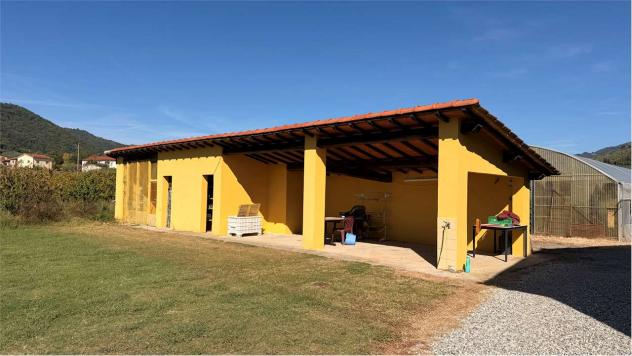 Fattoria LUCCA - Lucca, Moriano – Ampia Proprietà Agricola con Casale, Capanna e 1,6 Ettari di Terreno - Foto 5