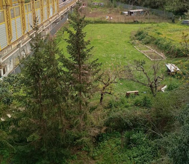 Terreno 1200Mq - Foto 4