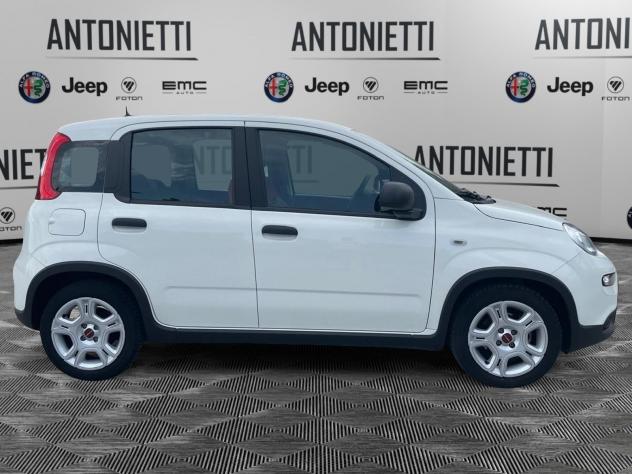 FIAT Panda Panda 1.0 Firefly Hybrid 70cv Pop - Foto 4
