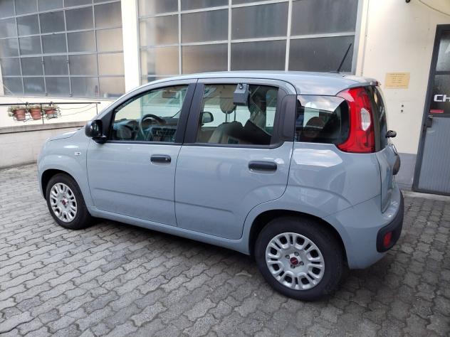 Fiat Panda 1.0 FireFly S&S Hybrid - Foto 8