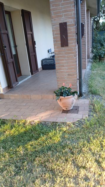 Vendesi villa bifamiliare a Corcagnano - Foto 8