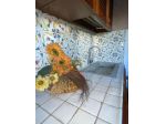 Appartamento in affitto a Montecalvoli Alto - Santa Maria a Monte 50 mq  Ri &hellip;
