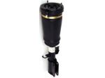 BMW X5 E53 sospensione anteriore sinistra 37116757501 37116761443