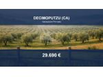 Immobile in asta di 8945 m² in vendita a Decimoputzu
