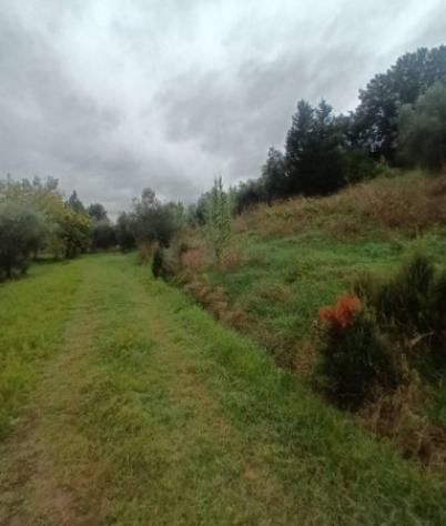 Immobile in asta di 11283 m² in vendita a Vinci - Foto 9