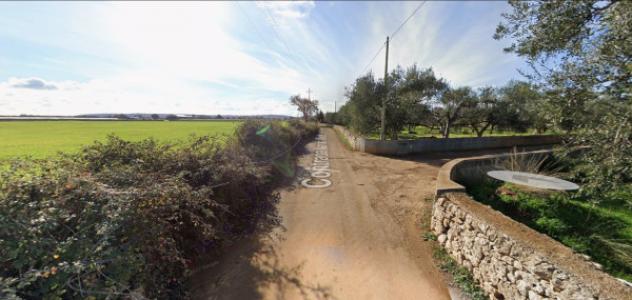 Immobile in asta di 2000 m² con più di 5 locali in vendita a Sammichele di Bari - Foto 5