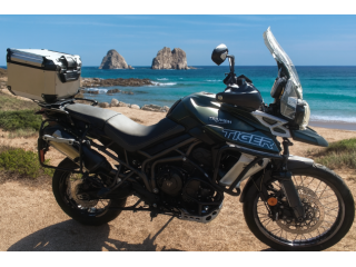 Triumph Tiger xcx abs 800 - 2019