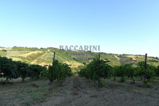 PROPRIETA' BRISIGHELLA - VIA LODOLONE 29 - Foto 4