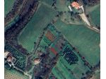 Immobile in asta di 1922 m² in vendita a Orgiano