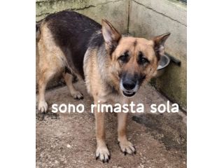 GRETA PASTORE TEDESCO 6 ANNI