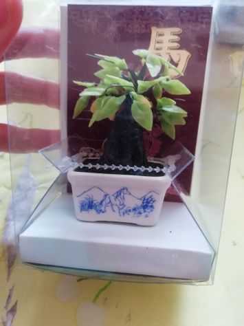bonsai - Foto 2