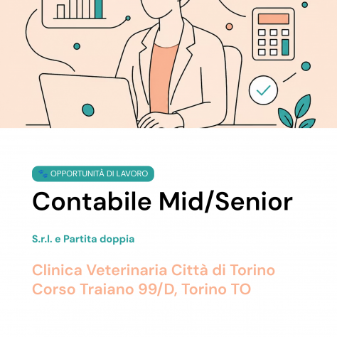 Contabile Mid/Senior