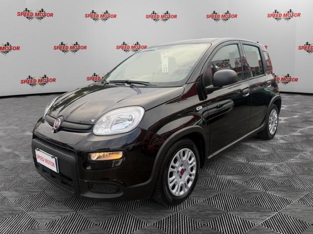 FIAT Panda Panda 1.0 firefly hybrid 70cv 5 POSTI, SENSORI PARCHEGGIO! - Foto 4