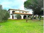 Colonica in vendita a Cecina 400 mq  Rif: 1215949
