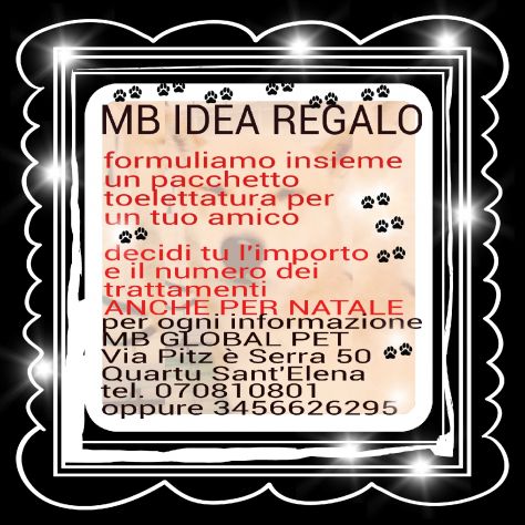 toelettatura professionale e addestramento qualificato - Foto 3